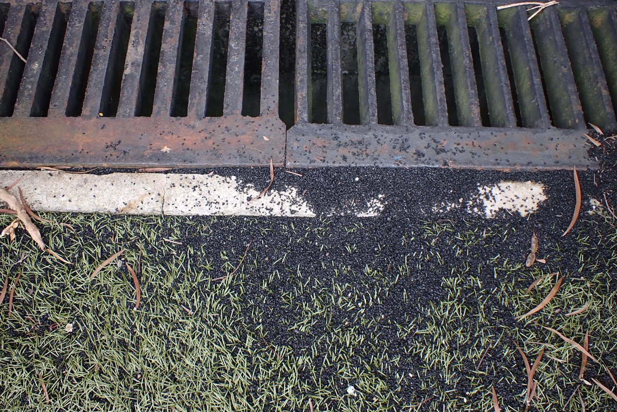 PlasticFreeSeas tweet media