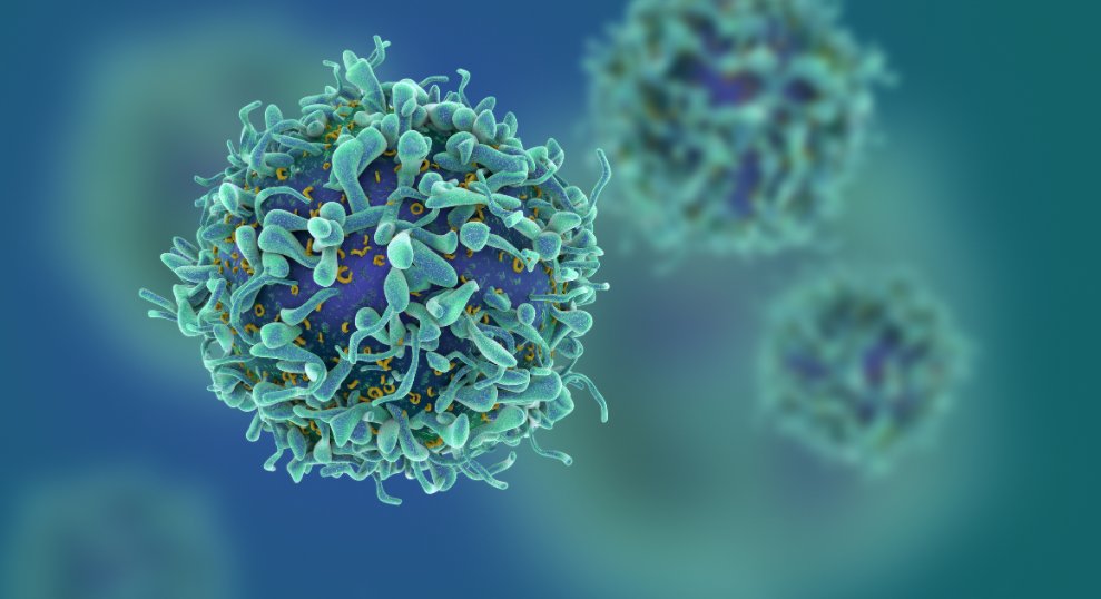 Australian Science Media Centre (@aussmc) on Twitter photo A severe viral infection overwhelms immune cells, says <a href="/unimelb/">University of Melbourne</a> <a href="/WEHI_research/">WEHI (Walter and Eliza Hall Institute)</a> and <a href="/latrobe/">La Trobe University</a>
scimex.org/newsfeed/sever… A severe viral infection overwhelms immune cells, says <a href="/unimelb/">University of Melbourne</a> <a href="/WEHI_research/">WEHI (Walter and Eliza Hall Institute)</a> and <a href="/latrobe/">La Trobe University</a>
scimex.org/newsfeed/sever…