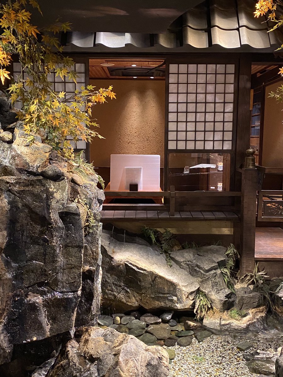 清流初つぼみ渋谷店 22 00迄営業 全時間帯で定食メニューご用意 2名様から個室でご案内 季節メニュー だだちゃ豆も是非 滝と清流の居酒屋 足下を魚が泳ぐ安心 安全の居酒屋 渋谷居酒屋 渋谷居酒屋おすすめ 渋谷ランチ 初つぼみ