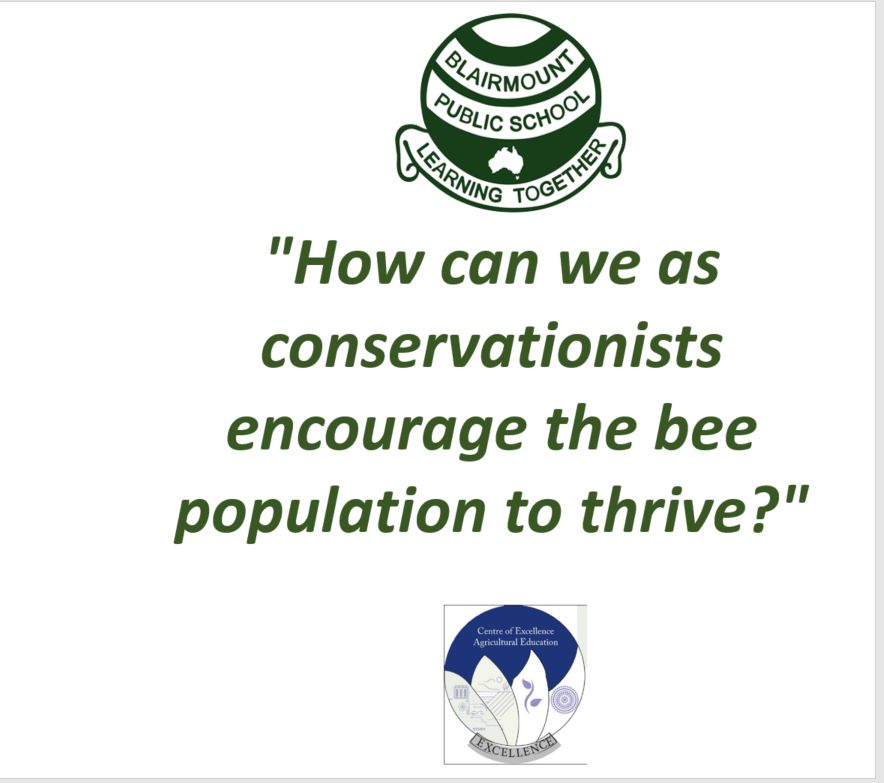 Stage 2 >300 ideas. Parameters considered. Clustering- protyping-testing-feedback. Outcome: 2 fab projects- initial resourcing, riskassess &amp; planning underway.Our brains were 'sweaty' all day - No Bees No Future Hackathon.  @BlairmountPS #NoBeesNoFuture