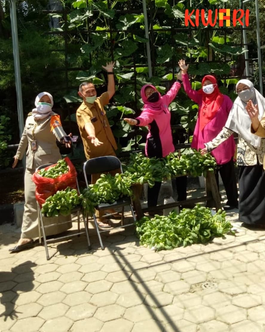 Camat Johar Baru, Nurhelmi Savitri bersama dengan Pokja III TP-PKK Kecamatan dan Satpel KPKP melakukan panen sayuran hidroponik, Selasa (25/8) di halaman Kantor Kecamatan Johar Baru.
<a href="/aniesbaswedan/">Anies Rasyid Baswedan</a> @BangAriza <a href="/DKIJakarta/">Pemprov DKI Jakarta</a> <a href="/walikotajakpus/">walikotajakartapusat</a> <a href="/pkkjakarta/">Tim Penggerak PKK DKI Jakarta</a> 
#kiwarijakpus #infojakpus