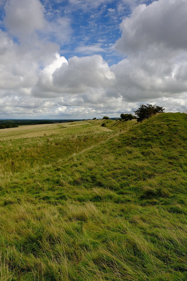 My walk along the White horse trail to Wansdyke and back to the Sanctuary near Avebury yesterday #landscapephotography #Wiltshire #walkingtrails