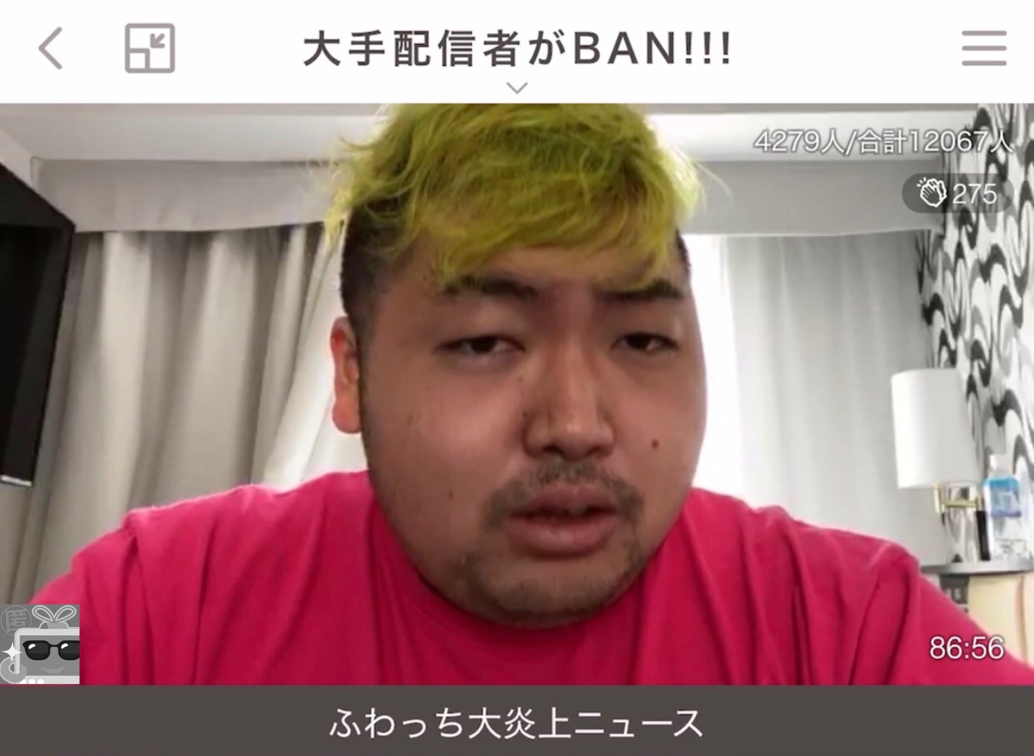 雑談 たぬき つば にゃん 雑談 たぬき つば にゃん