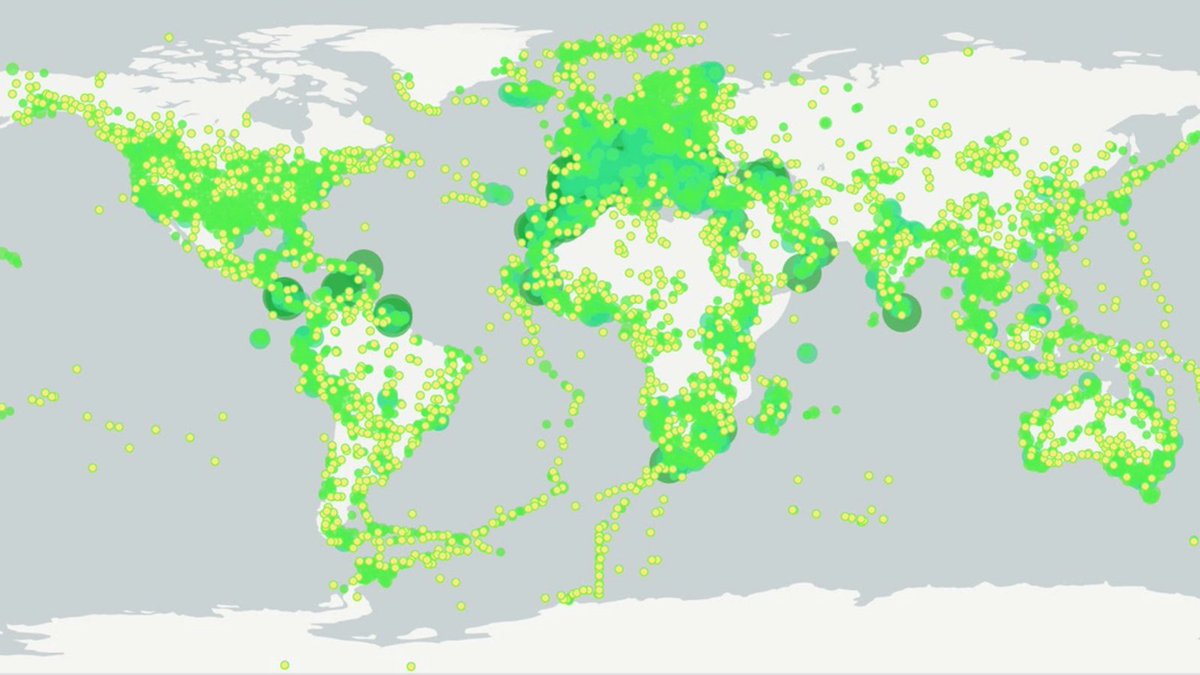 Great news - From now on Observation.org observations can also be found on GBIF! Nearly 40 million sightings with more than 5 million photos, collected and checked by many volunteers: gbif.org/dataset/8a8630… <a href="/GBIF/">GBIF @biodiversity.social/@gbif</a> #CitizenScience