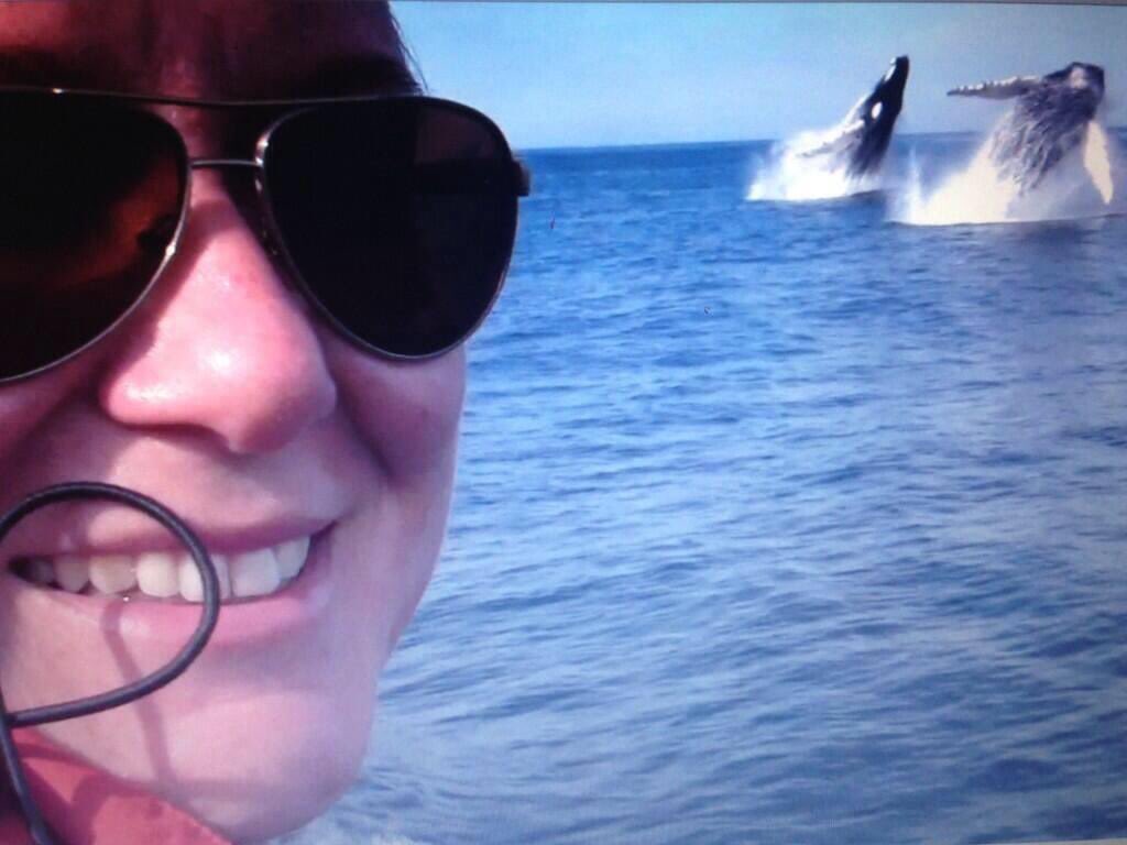 _HollyLake's tweet photo. @RexChapman There are days on the water in Newfoundland &amp; Labrador that are truly magical. This was one of mine. #Whelfie #DoubleBreach #NoPlaceLikeHome 🐋🐋 https://t.co/3GqMAaOxLg https://t.co/qW1BYNBFiU