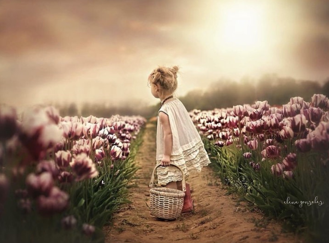 ramblingsloa's tweet photo. Don’t wait for someone to bring you flowers 
Plant your own garden
And decorate your own soul.

📸 Elena Gonzales https://t.co/o6BOep9mA4