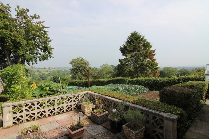 Cherry Tree Estates tweet media