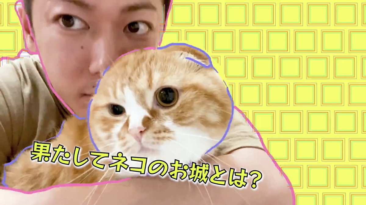 rei51146010's tweet image. 編集もYouTubeぽくていい感じ～🤣
#佐藤健公式YouTube
#ヒカキンコラボ