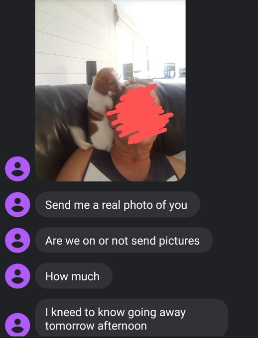 so no go https://t.co/DqXZgZrJq7