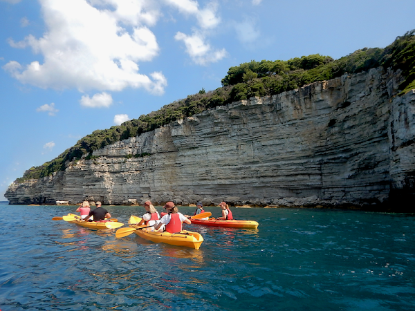 WILDSEA Europe tweet media