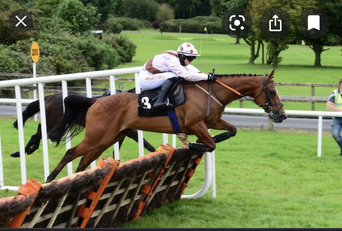 Honoured to be sponsoring the final race in Bellewstown this evening at 6.45pm.Keep an eye out for the glensidehotel.ie (Ladies Pro/Am Flat Race).Would love to be up on the hill cheering on the runners. Best of luck to all.
#bellewstownraces #HorseRacing #funonthehill