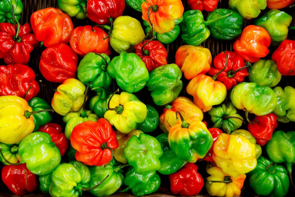 SheCanCodeHQ's tweet photo. Can AI solve worldwide hunger and famine? 
Have a read of the article from  @Siftedeu  by @connorbilboe 👇

👉https://t.co/2sbhGp5naP👈

#womenintech #womeninstem #shecancode #womenwhocode #girlswhocode #techladies #techgirls #ai #artificialintelligence   #codinggirls https://t.co/YB6T7saFJo