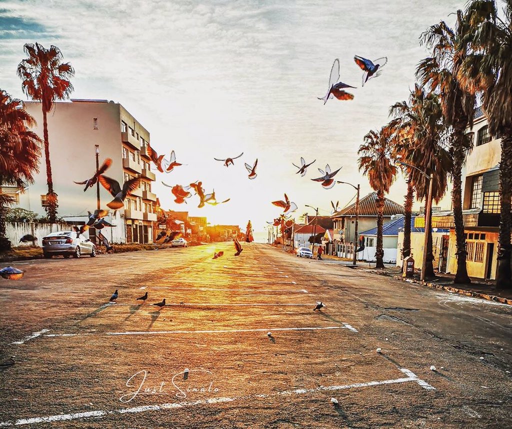 Sunrise in Quigney 🔥🌅

Image via @just_sinalo (Instagram)

#Quigney #Home #Pigeons #Sunrise #EastLondon #LoveEastLondon #iLoveEastLondon #EasternCape #SouthAfrica #ShotLeft #AdventureProvince