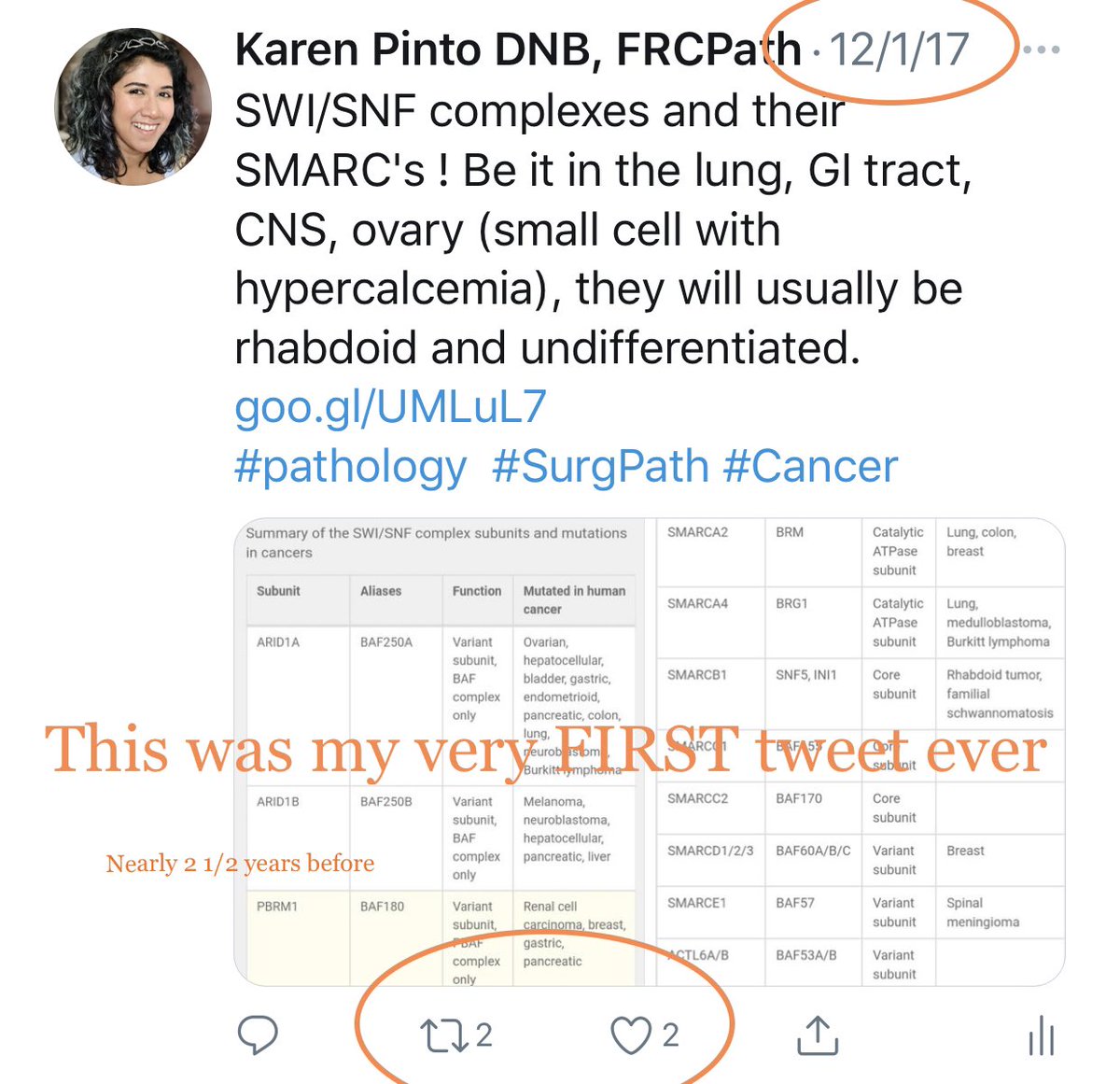 My  #PathTwitter journey: If any of you feel:-your tweet isn’t good enough -no one will notice-I have nothing interesting to post-I’m so inexperienced use my journey as an example All you need to do, is keep trying  #pathology  #PERSISTENCE