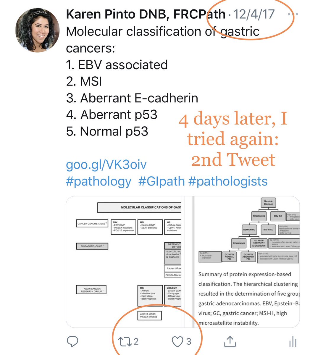 My  #PathTwitter journey: If any of you feel:-your tweet isn’t good enough -no one will notice-I have nothing interesting to post-I’m so inexperienced use my journey as an example All you need to do, is keep trying  #pathology  #PERSISTENCE