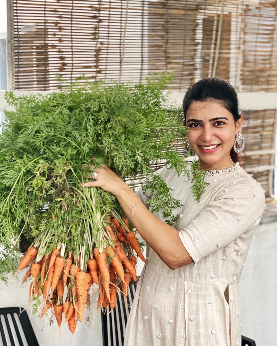 The menu this week..... carrot  juice , carrot pachadi , carrot halwa , carrot fry , carrot pakodi , carrot idli , carrot samosa, carrot cake ...