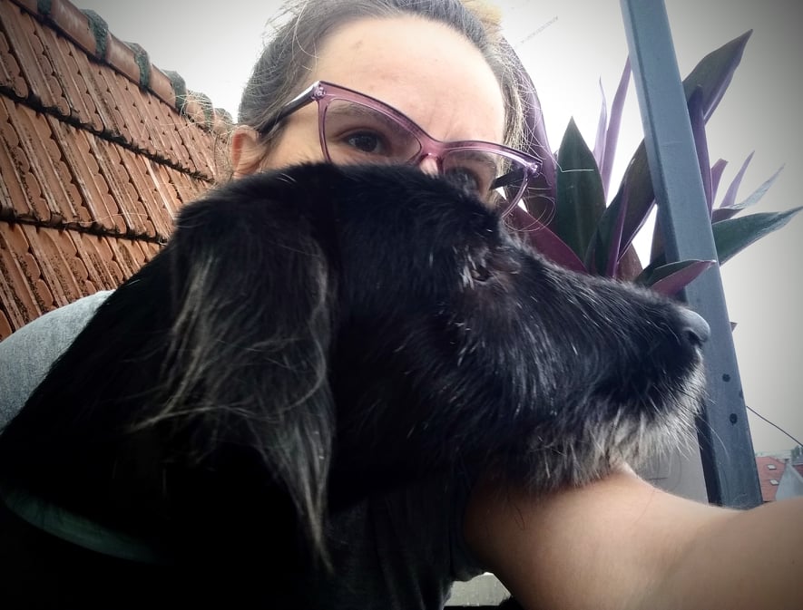 mstojadinov's tweet image. Observability &amp;amp; monitoring session in our house.