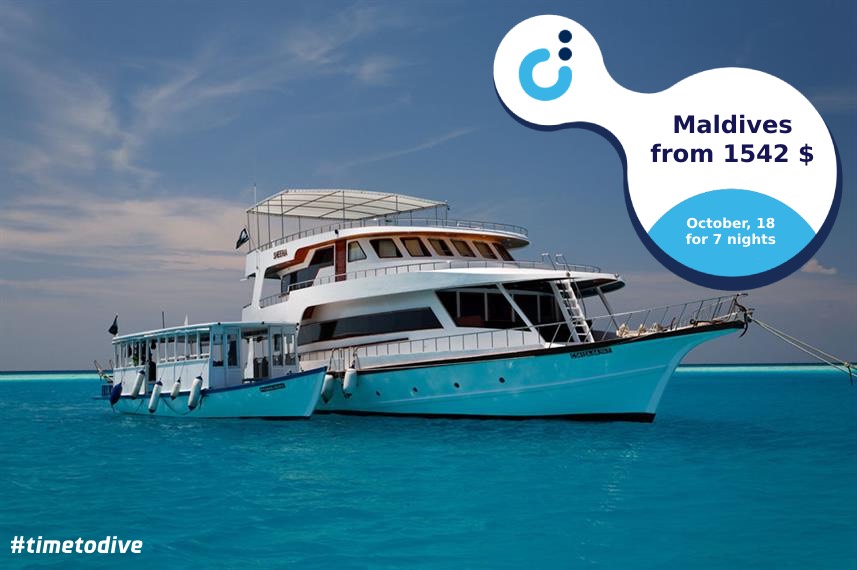 #Maldives from 1542 USD instead of 2204 USD (-30% OFF!)
From October 18 for 7 nights by Sheena #liveaboard.
#Filitheyo – #Male.
#MarineLife: #MantaRays, #Sharks, #Schoolingfish, #StingRays