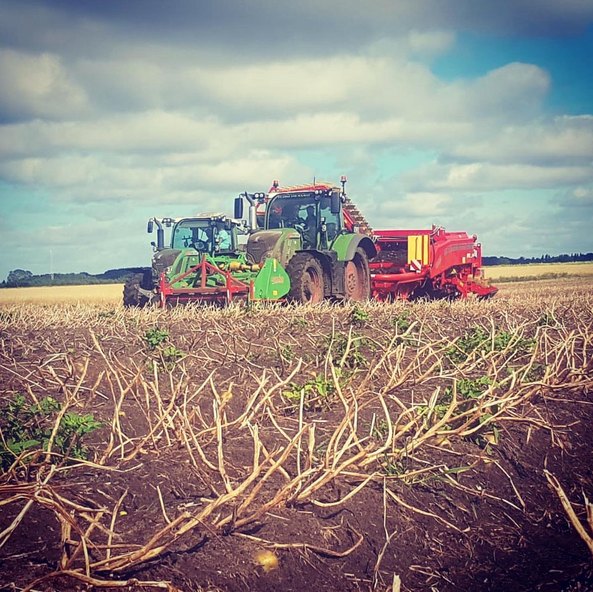 The new harvester got its first run out yesterday 🥔🥔 making the most of yesterday’s good conditions #harvest2020 #potatoes #potatoefarming