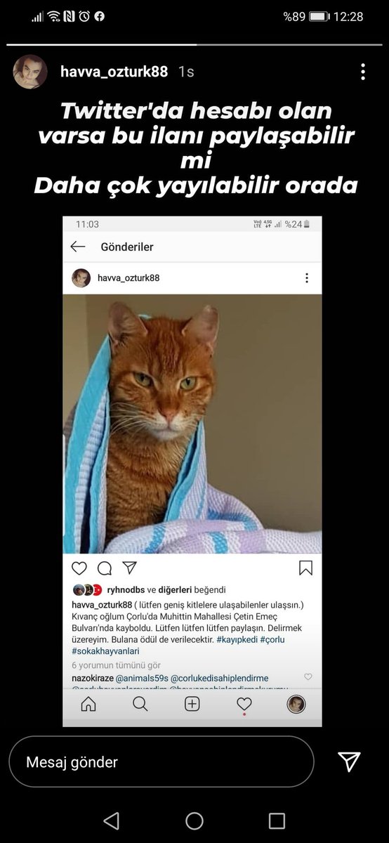 Çorlu'da kaybolmuştur yayabilir miyiz lütfen?