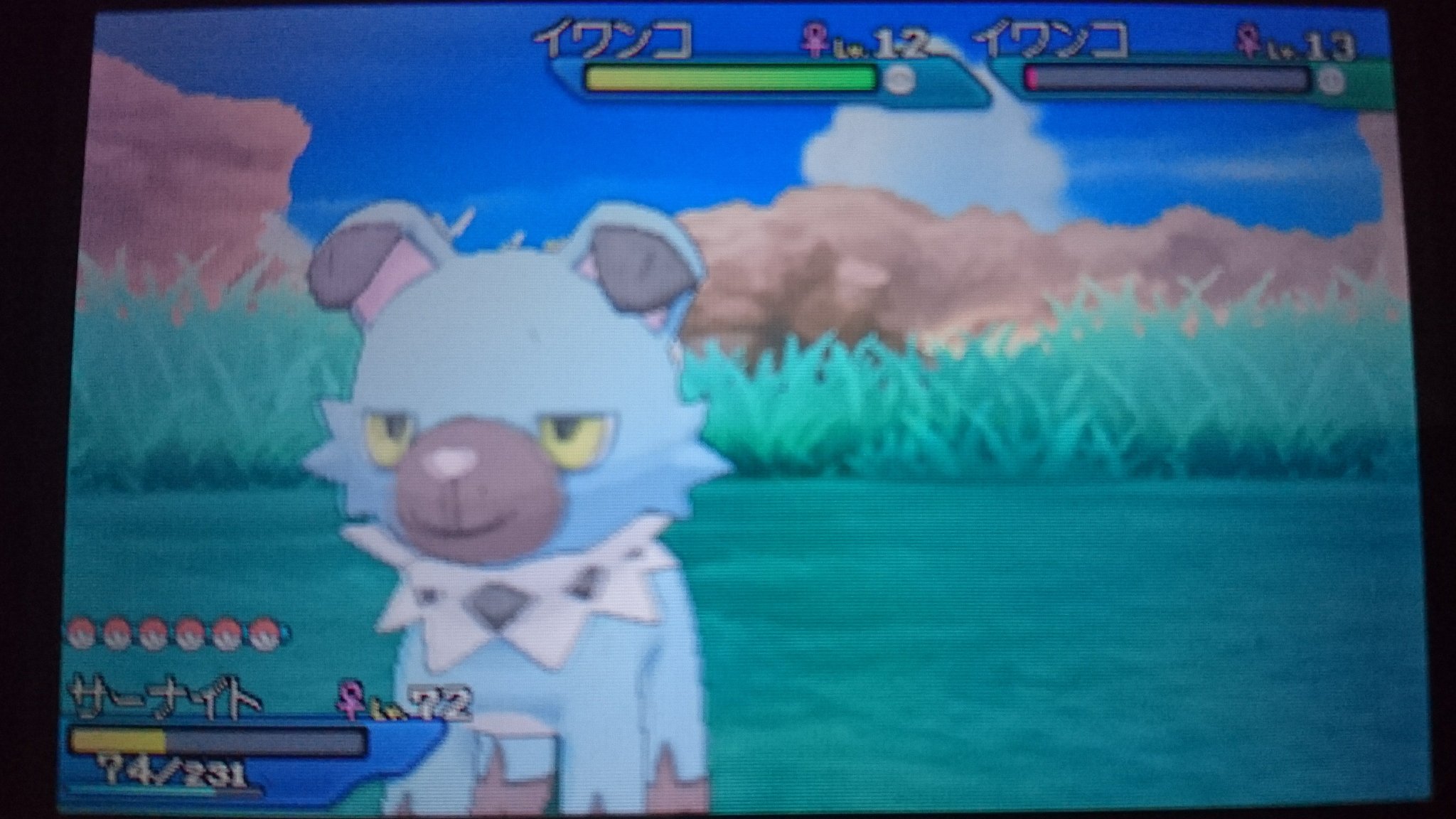 デュエリスト Al Twitter やっと色違いのイワンコ来た 最初はシンクロ ようき 外したけど 2回目でシンクロ当たったので良かった それにしても この色のイワンコにウルトラボールめっちゃ似合うなぁ ポケモンウルトラムーン ポケモンウルトラサン