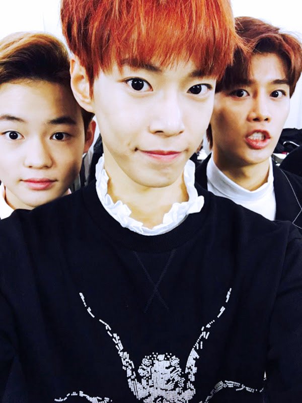 doyoung with dreamies, predebut until now. a cute thread