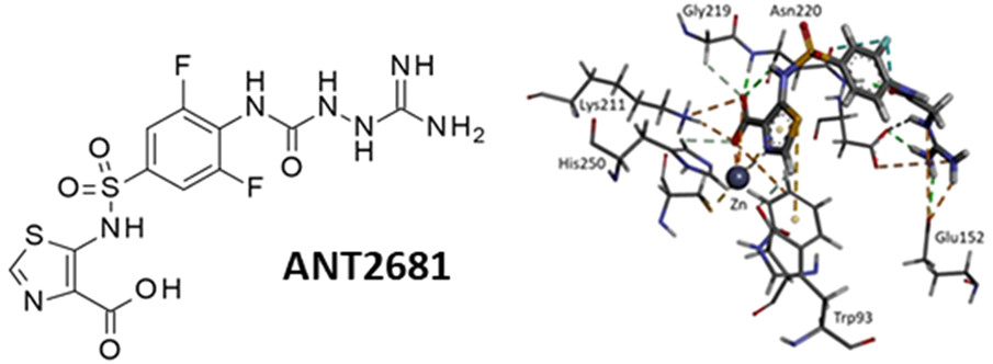 Davies et al. reveal ANT2681, a metallo-β-lactamase inhibitor for use with meropenem to treat resistant bacterial infections : pubs.acs.org/doi/10.1021/ac…
