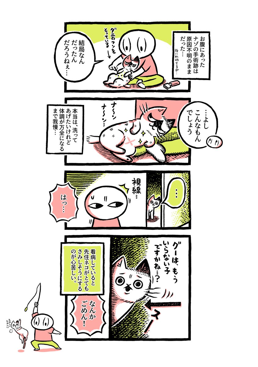 漫画家のカメントツ先生の家に老猫さんが迷い込む 飼い主さんが見つかる 猫さんを引き取ったカメントツ先生 元飼い主さんの庭掃除をする 2ページ目 Togetter