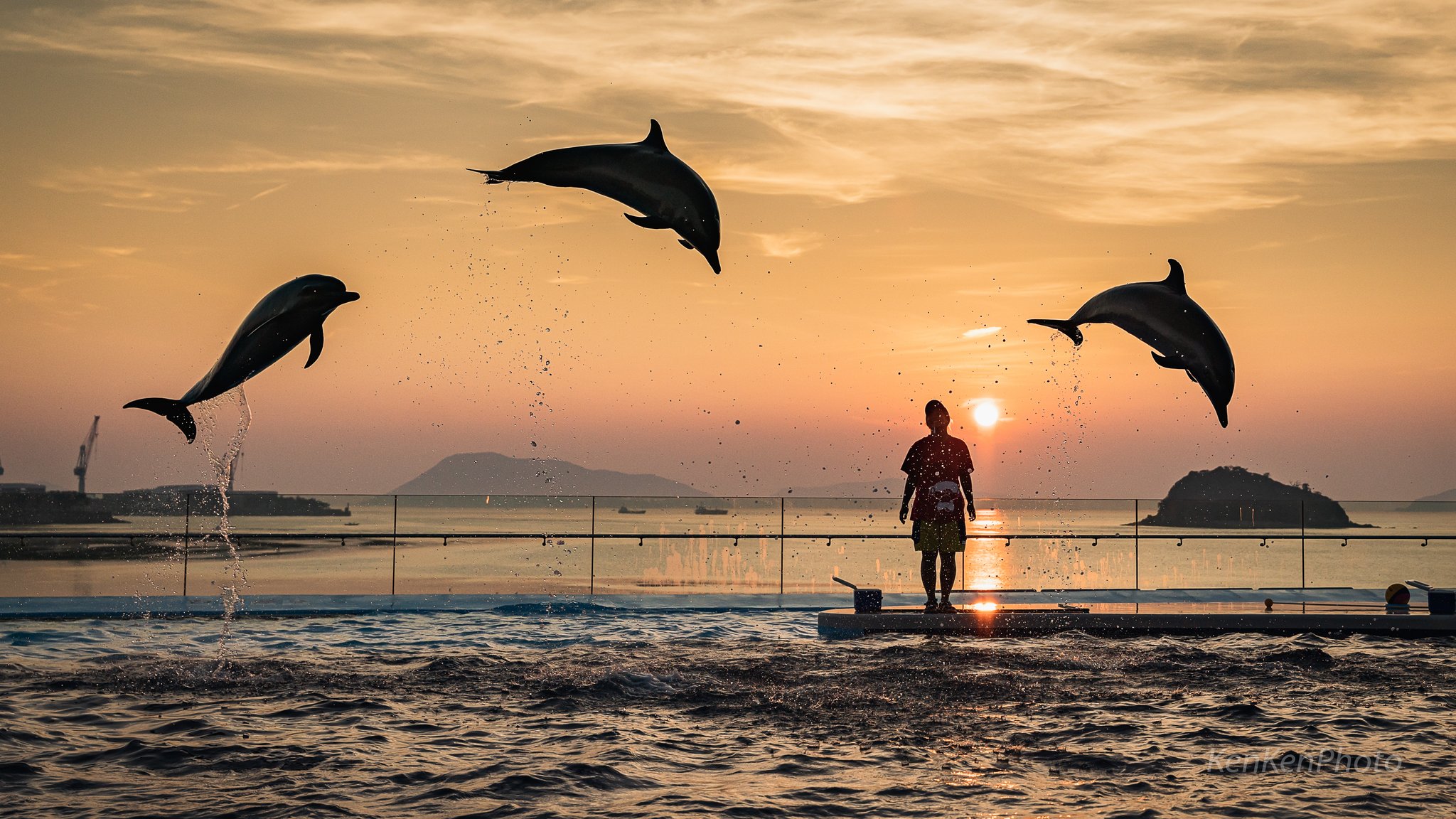 Kenken まるで ラッセン の世界 イルカと夕日がキレイすぎ 東京カメラ部