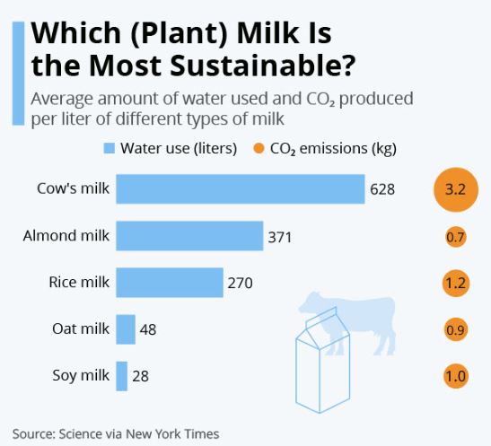 Which plant milk is the most sustainable choice?

Soy milk still best, followed by oat milk, while almond milk doesn't look so good, at 60% of water use of cow's milk. 

#vegan #altmilk #milkalternatives #veganism #dairyfree #soymilk #oatmilk #ricemilk #almondmilk