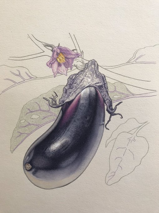 「purple flower」 illustration images(Popular｜RT&Fav:50)
