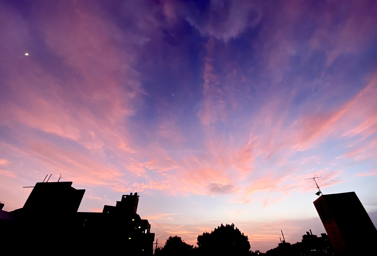 台風去った後のお空 ピンク なまこ姉さん ガチャ敗北者のイラスト