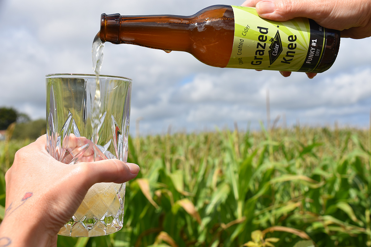 Brightbulb2's tweet image. Did you know we offer product photography? Here&apos;s some shots of  Grazed Knee Cider bottles, that we branded and designed the labels for 🍎🍏🍻
#craftcider #localcider #iowcider #cider #isleofwight #graphicdesign #design #photography #productphotography #photo #logo  #branding