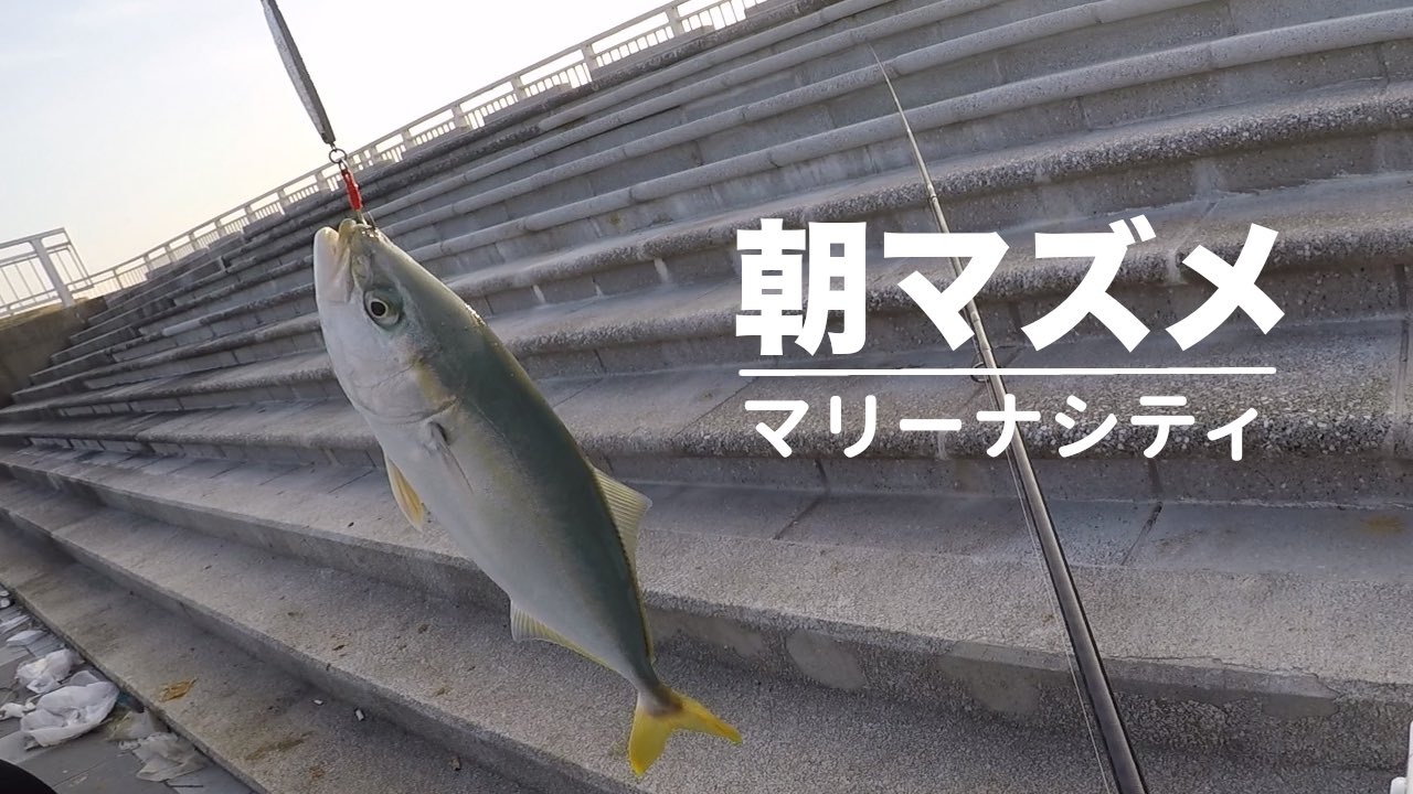 釣りたまご 初心者向け 朝マズメ ジグサビキで青物 ツバス 釣りました 真夏のマリーナシティ T Co Qehvsnksqv Youtubeより 青物 ツバス ジグサビキ ジギングサビキ ライトショアジギング Lsj マリーナシティ 和歌山 ナブラ ボイル
