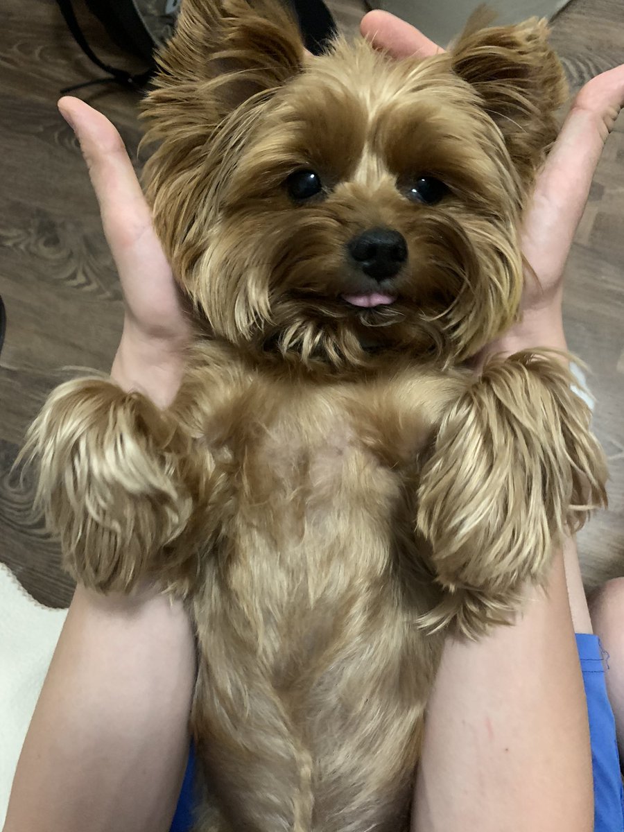 wwarmlv's tweet photo. @lkzntsv 🥰 https://t.co/6jrTwtm0VQ