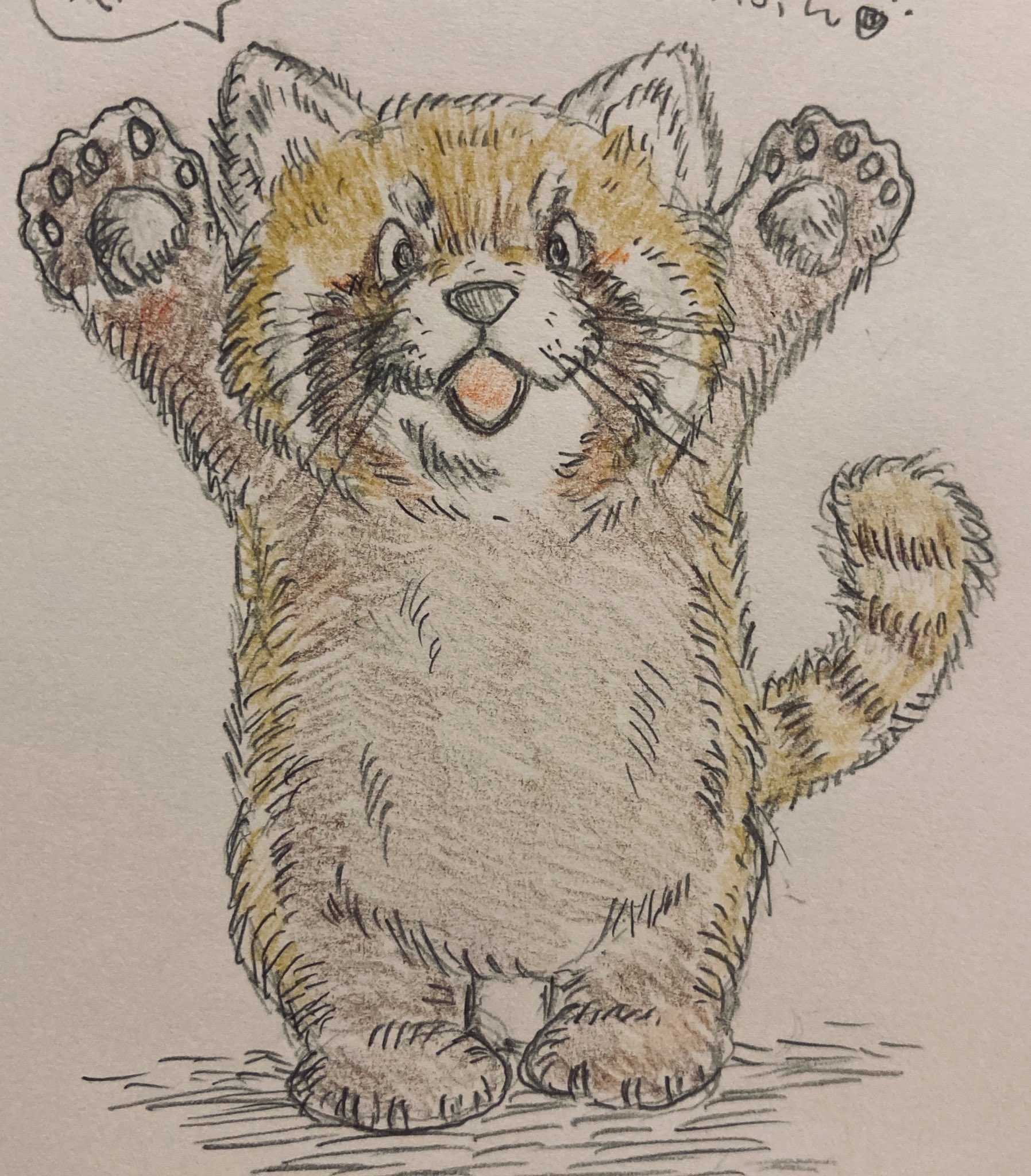 ねこしんぶん 猫界の えっ 君はレッサーパンダくんじゃないですか でも可愛いから紹介しちゃう 猫界に来たレッサーパンダくんです イラスト アナログイラスト レッサーパンダ 動物イラスト ねこしんぶん 猫界の えっ 君はレッサーパンダくんじゃないですか でも可愛いから紹介しちゃう 猫界に来たレッサーパンダくんです イラスト アナログイラスト レッサーパンダ 動物イラスト