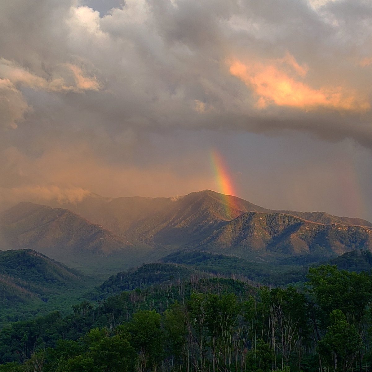 Happy 104th birthday, NPS!

Today marks 104 years since President Woodrow Wilson signed the Organic Act into law, creating the National Park Service. 

Photo by Crystal Chen