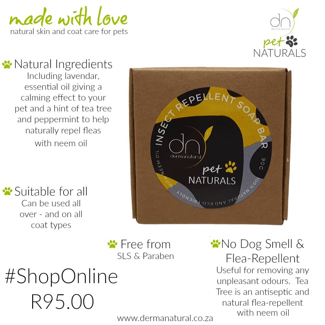 dermanaturalsa's tweet photo. 🌿🐾Back instock🐾🌿

Online store:
https://t.co/HwQB1zM2aq

#Natural #EcoFriendly #Biodegradable #Vegan #Sustainable #EcoFriendlyPackaging #Ecopaws🐾 https://t.co/KiPtcvfay6