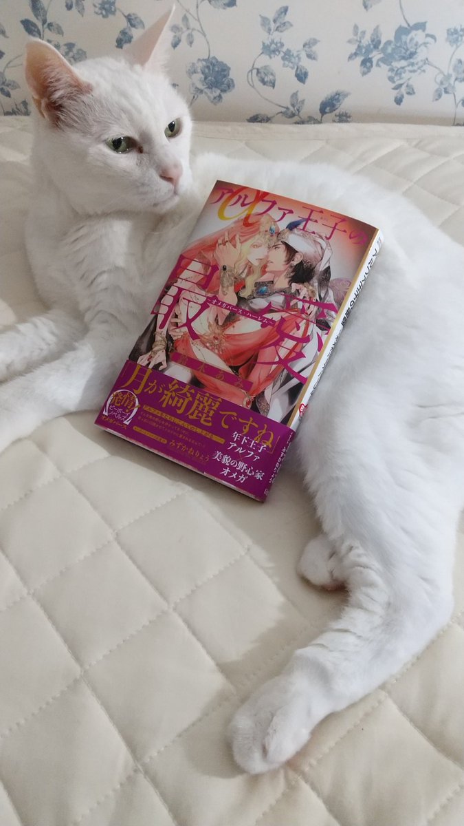 夢乃咲実 Yumeno Twitter 夢乃咲実 Yumeno Twitter