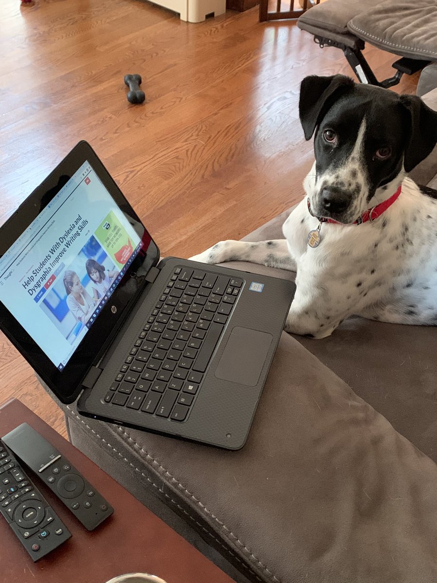 Samantha Wimmer tweet media