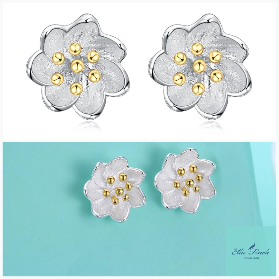 Silver Daisy Flower Stud Earrings tinyurl.com/yxndtgdz
 #jewellery #ethicaljewellery