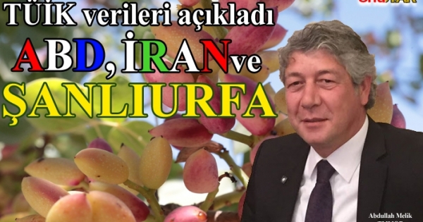 Türkiye'de yetişen fıstığın ana yurdu Urfa... dlvr.it/RfKWHD
