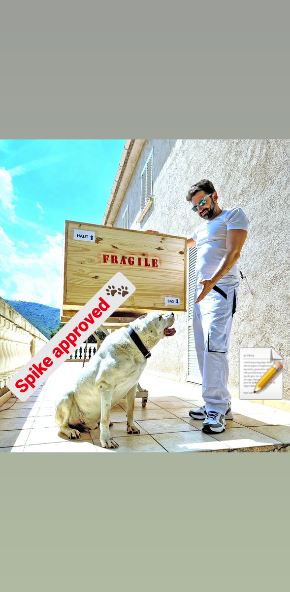 CyrilMaccioni's tweet photo. Cela fait 15 ans qu'il m'accompagne dans ma vie mais ce que vous savez pas c'est qu'il est également mon chef d'atelier et qu'aucune caisse n'est expédiée sans son approbation.
#spike #myfriend #dog #pittbull #dogargentin #shipment #approved #artstudiopost #chien #artist #chief https://t.co/r5ZTPuwbSd