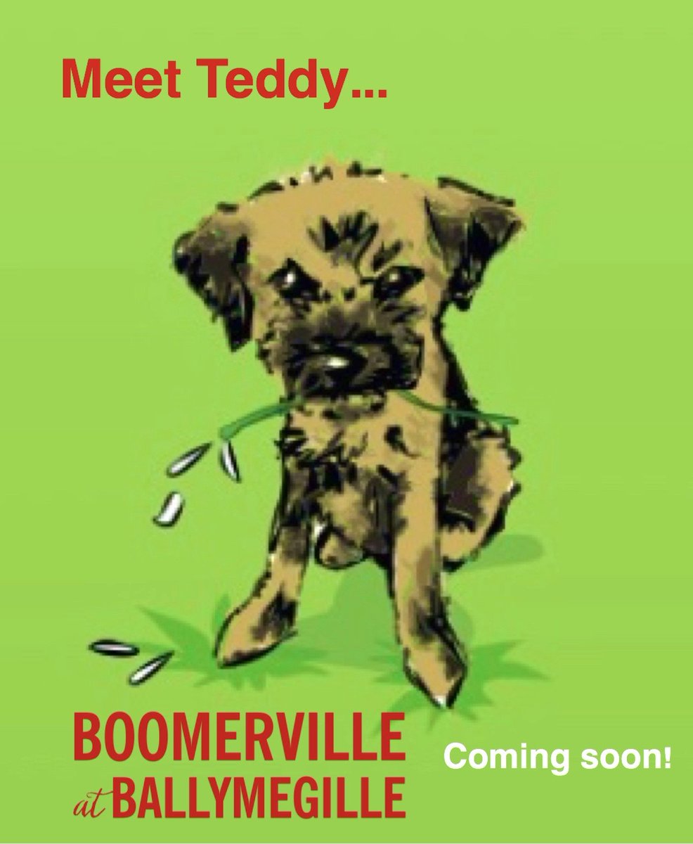 Cover reveal this Friday! Boomerville at Ballymegille - are you ready to join Jo &amp; Hattie's house party? #Boomervilleisback