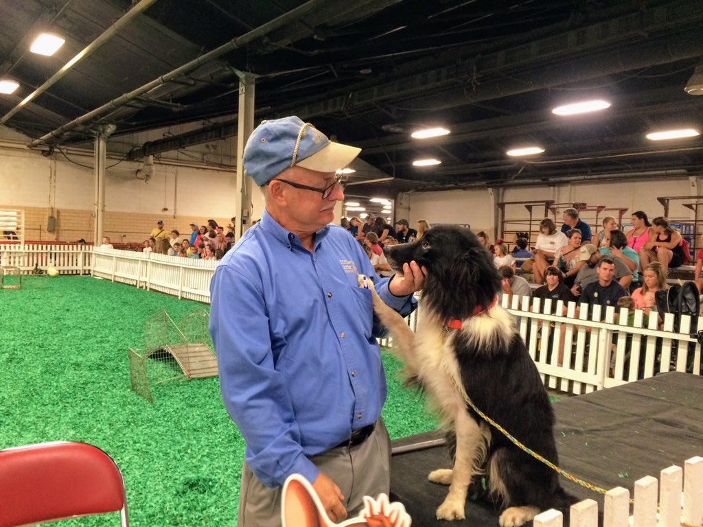 Here’s farmer Alan Miller with one of his beloved border collies. They herd a bunch of ducks through obstacles (and sometimes disobey Farmer Miller, which the audience LOVES). This would have been the 50th year Miller’s Border Collies appeared at the fair!