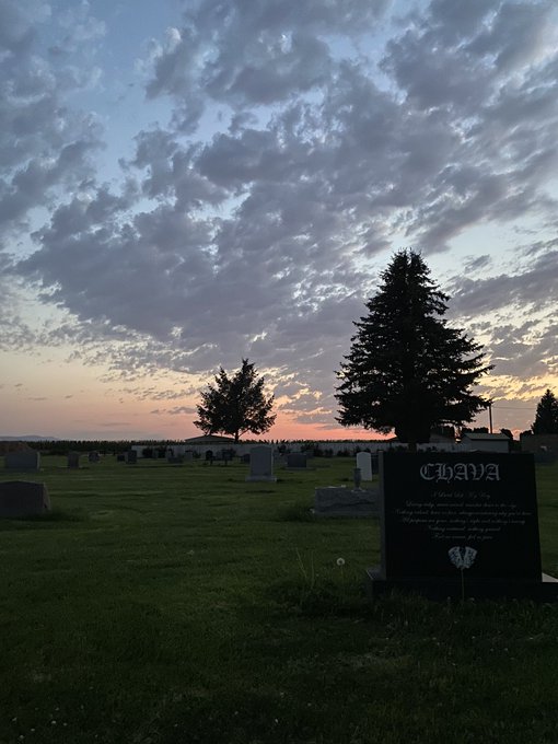 I miss you https://t.co/meJOeuvOVm<a href="/tag/sesh"class="tags"><span>#sesh</span></a>