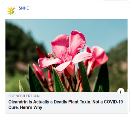 quickdoses's tweet image. A good reason not to follow medical advice given by politicians:

sciencealert.com/oleandrin-is-a…

#COVID19