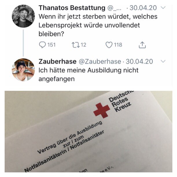 Ja, das wäre dein Lebensprojekt gewesen. (<a href="/Zauberhase/">Zauberhase</a>: 28.03.2002-22.07.2020)