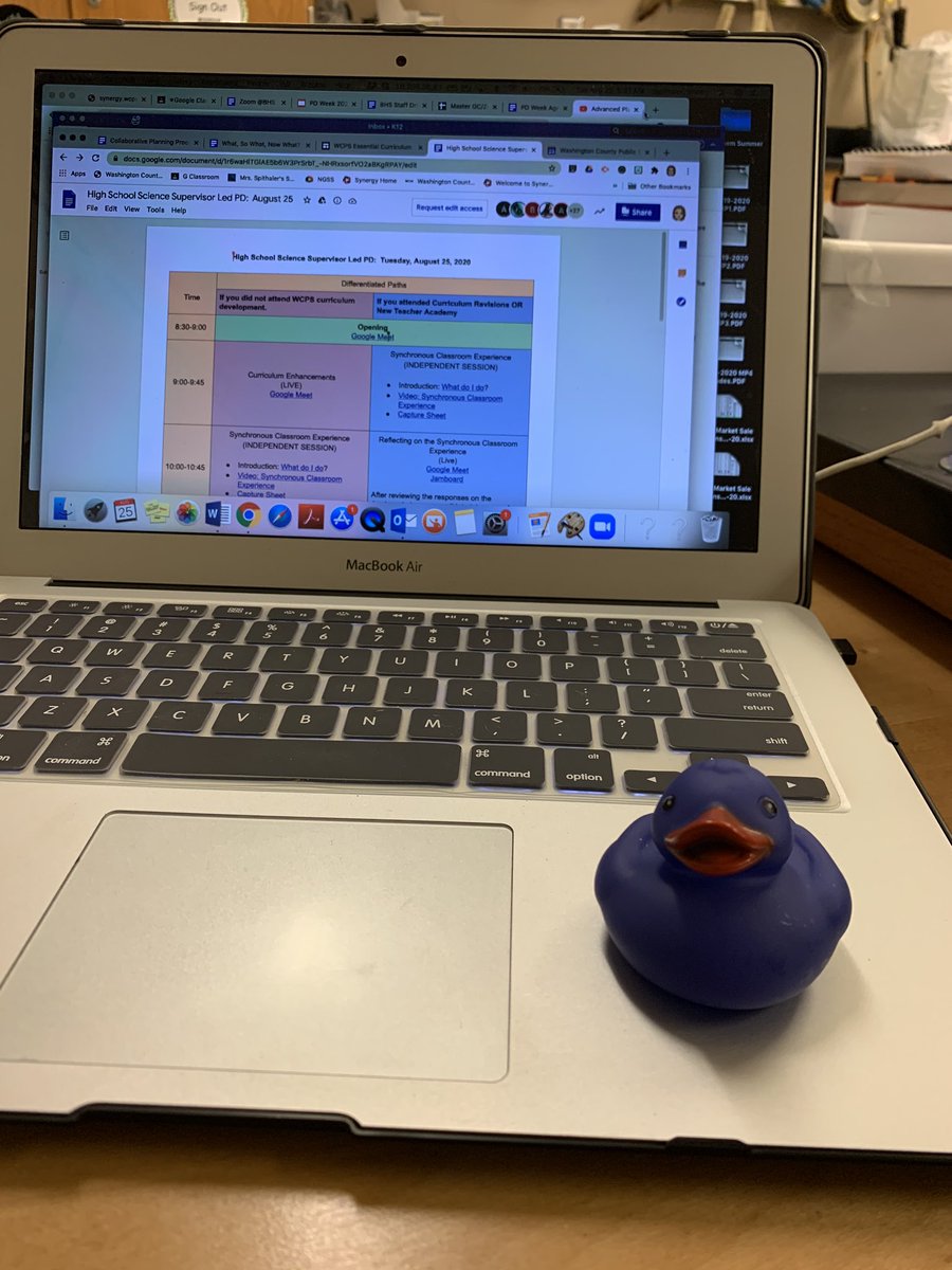 SherrySpithaler's tweet photo. Distance Duck Spitty just came in to her classroom @BoonsboroHigh ... ready for some great Science PD!!!  Gotta learn new ideas for teaching😊. #bhswarrior2024 https://t.co/9qCz4seFYN