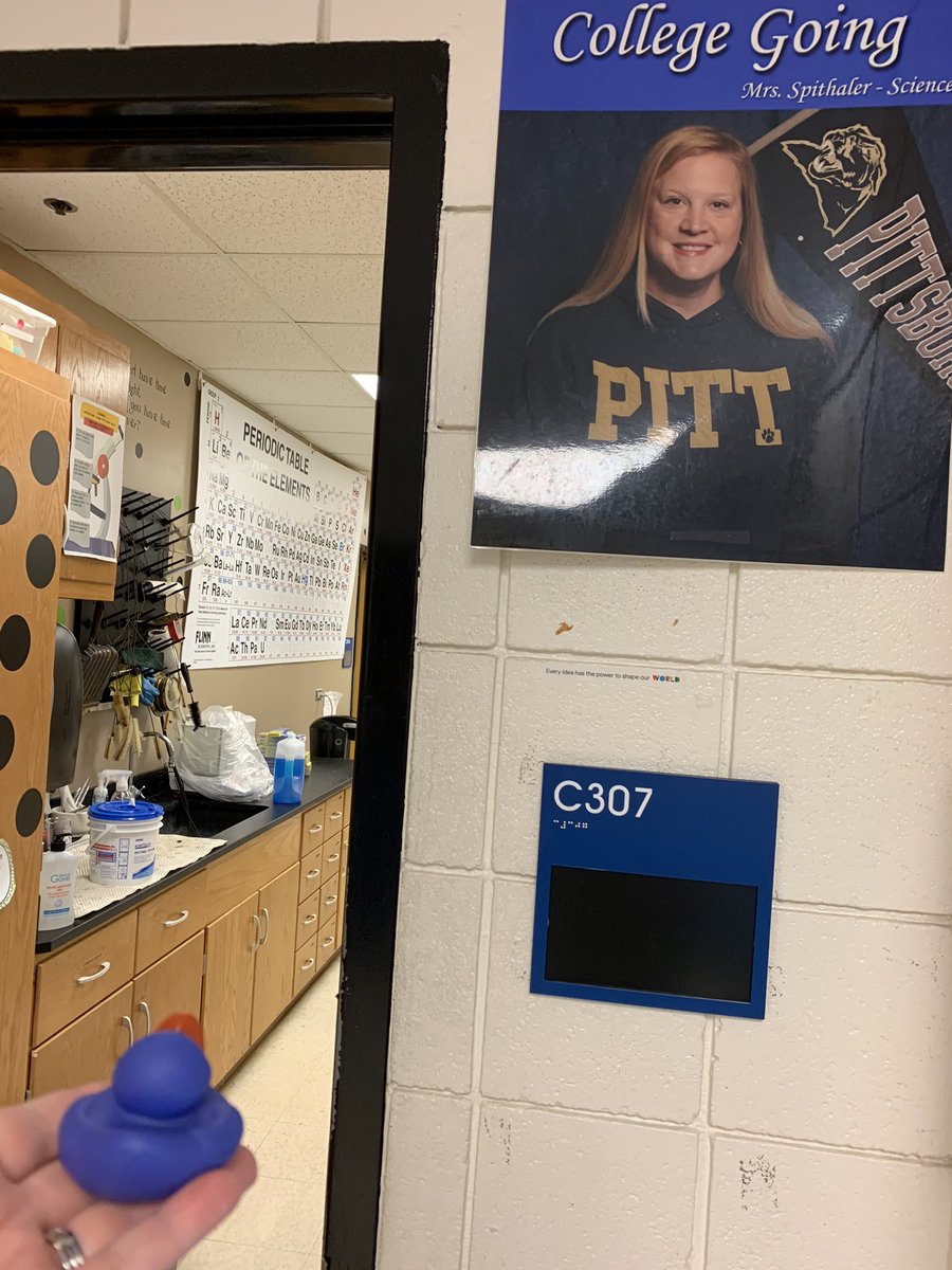 SherrySpithaler's tweet photo. Distance Duck Spitty just came in to her classroom @BoonsboroHigh ... ready for some great Science PD!!!  Gotta learn new ideas for teaching😊. #bhswarrior2024 https://t.co/9qCz4seFYN